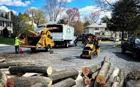 Reliable Owenton, KY Tree Removal and Landscaping Services Solutions